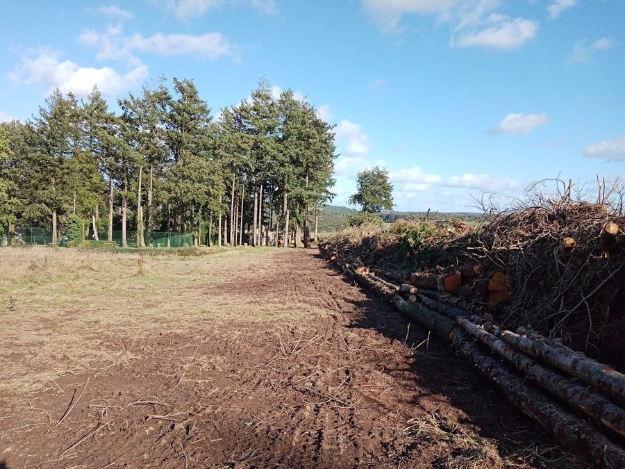 Défrichage : arbres, souches et broussailles retirés
